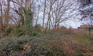 Photo N° 3