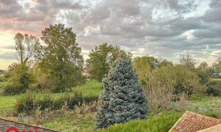 Photo N° 15
