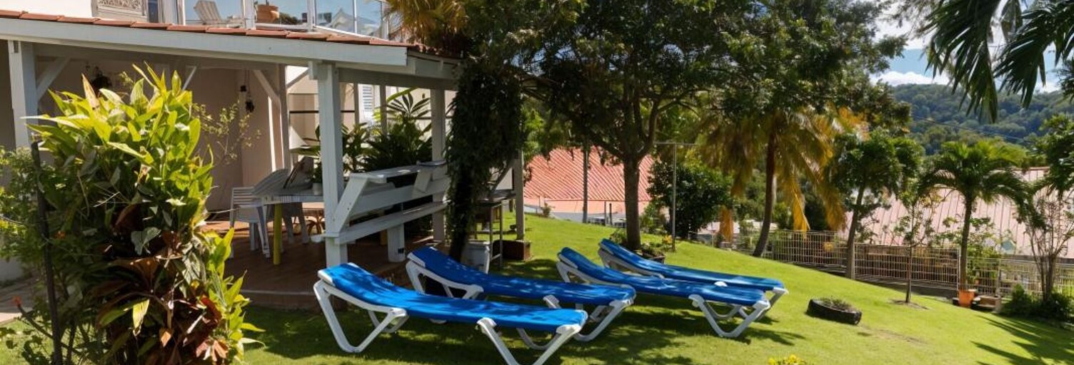 Maison 10 Pièces 340 m² à vendre à Schœlcher (97233)