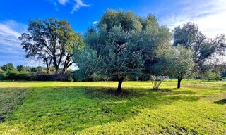 Maison 7 Pièces 206 m² à vendre à Penta-di-Casinca (20213)