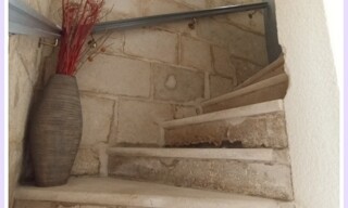 Photo N° 6