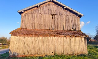 Photo N° 4