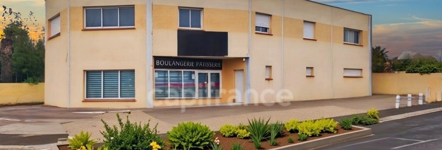 Immeuble  550 m² à vendre à Saint-Cyprien (66750)