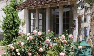 Photo N° 3