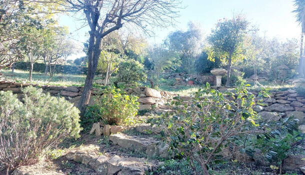 Villa / Maison 4 pièces  à vendre Lavandou (Le) 83980