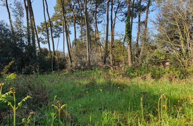 terrain  pièces 1187 m2 à vendre à Jard-sur-Mer (85520)