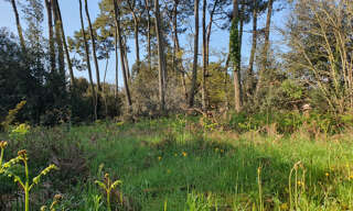 Terrain  1187 m² à vendre à Jard-sur-Mer (85520)