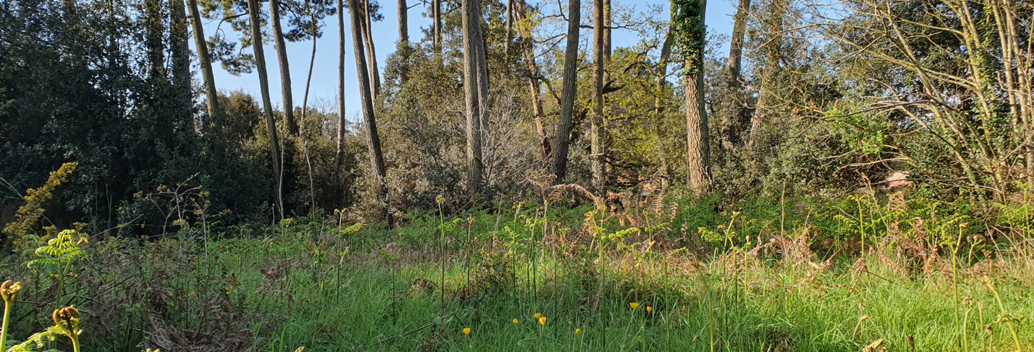 Terrain  1187 m² à vendre à Jard-sur-Mer (85520)