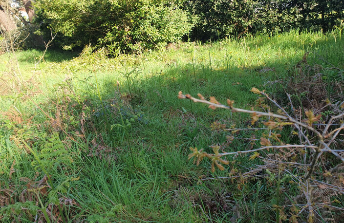 Grand terrain à bâtir au coeur de la forêt de Jard Sur Mer — photo 3