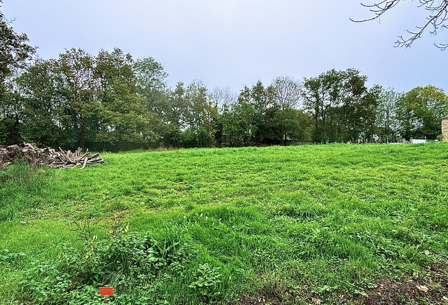 Terrain constructible de 2994 m2 — photo 1