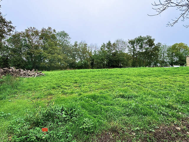 Terrain constructible de 2994 m2 — photo du bien