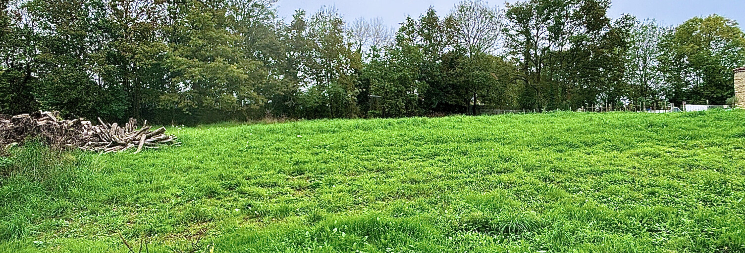 Terrain  2994 m² à vendre à La Roche-sur-Yon (85000)