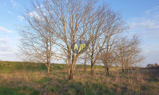 Terrain  6863 m² à vendre à Jau-Dignac-et-Loirac (33590)