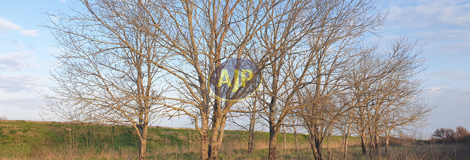 Terrain  6863 m² à vendre à Jau-Dignac-et-Loirac (33590)