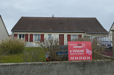 vente maison 137 800 € à proximité de Savigny-sur-Braye (41360)