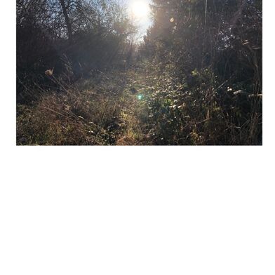 Terrain  194000 €