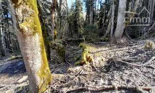 Terrain  32000 m² à vendre à Montendry (73390)