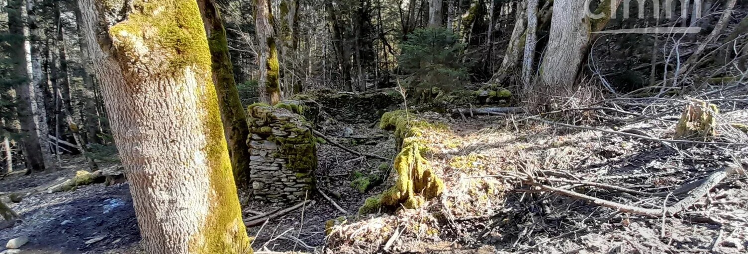 Terrain  32000 m² à vendre à Montendry (73390)