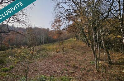 vente terrain 41 000 € à proximité de Pampelonne (81190)