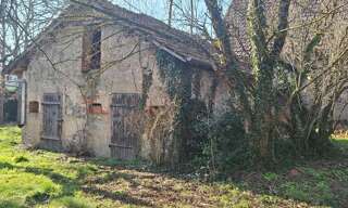 Photo N° 5