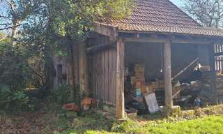 Photo N° 6