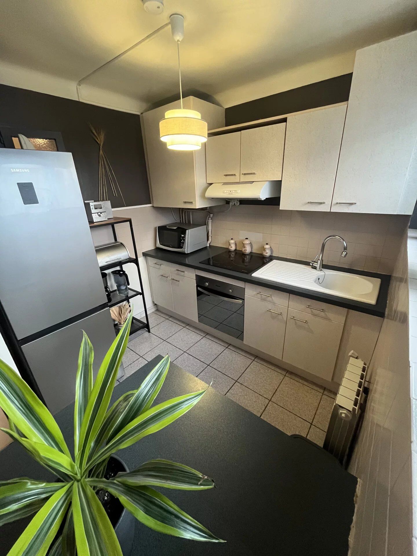 vente immobilière Agent Mandataire France