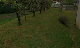 Photo N° 10