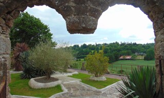 Photo N° 6