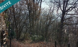 Photo N° 6