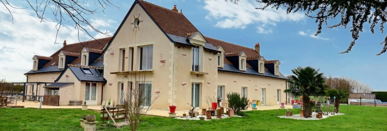 Maison 16 Pièces 994 m² à vendre à Neuillé-Pont-Pierre (37360)