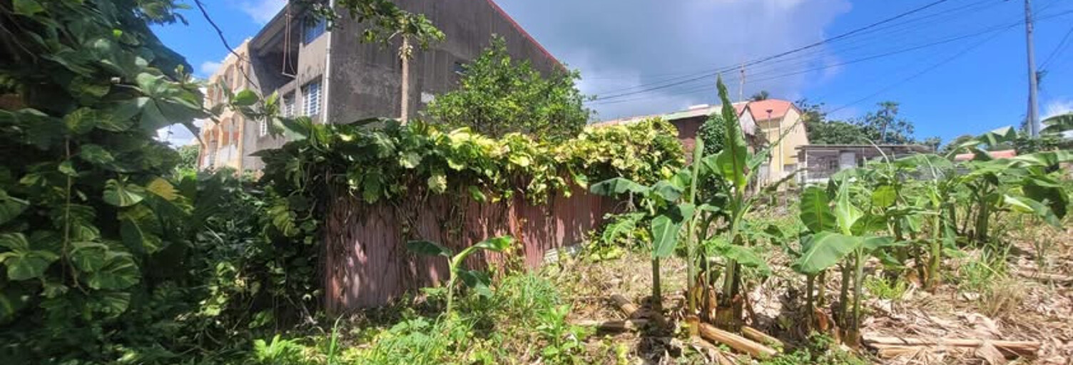 Maison 4 Pièces 60 m² à vendre à Capesterre-Belle-Eau (97130)