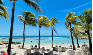 Appartement 1 Pièce 19 m² à vendre à Saint-François (97118)