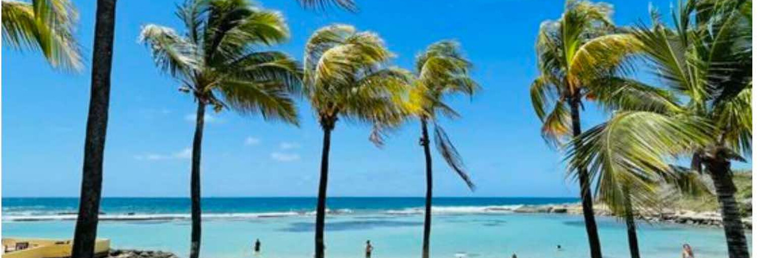 Appartement 1 Pièce 19 m² à vendre à Saint-François (97118)