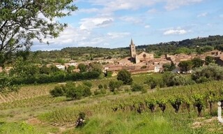 Photo N° 3
