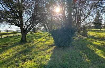 terrain  pièces 1117 m2 à vendre à Plassay (17250)