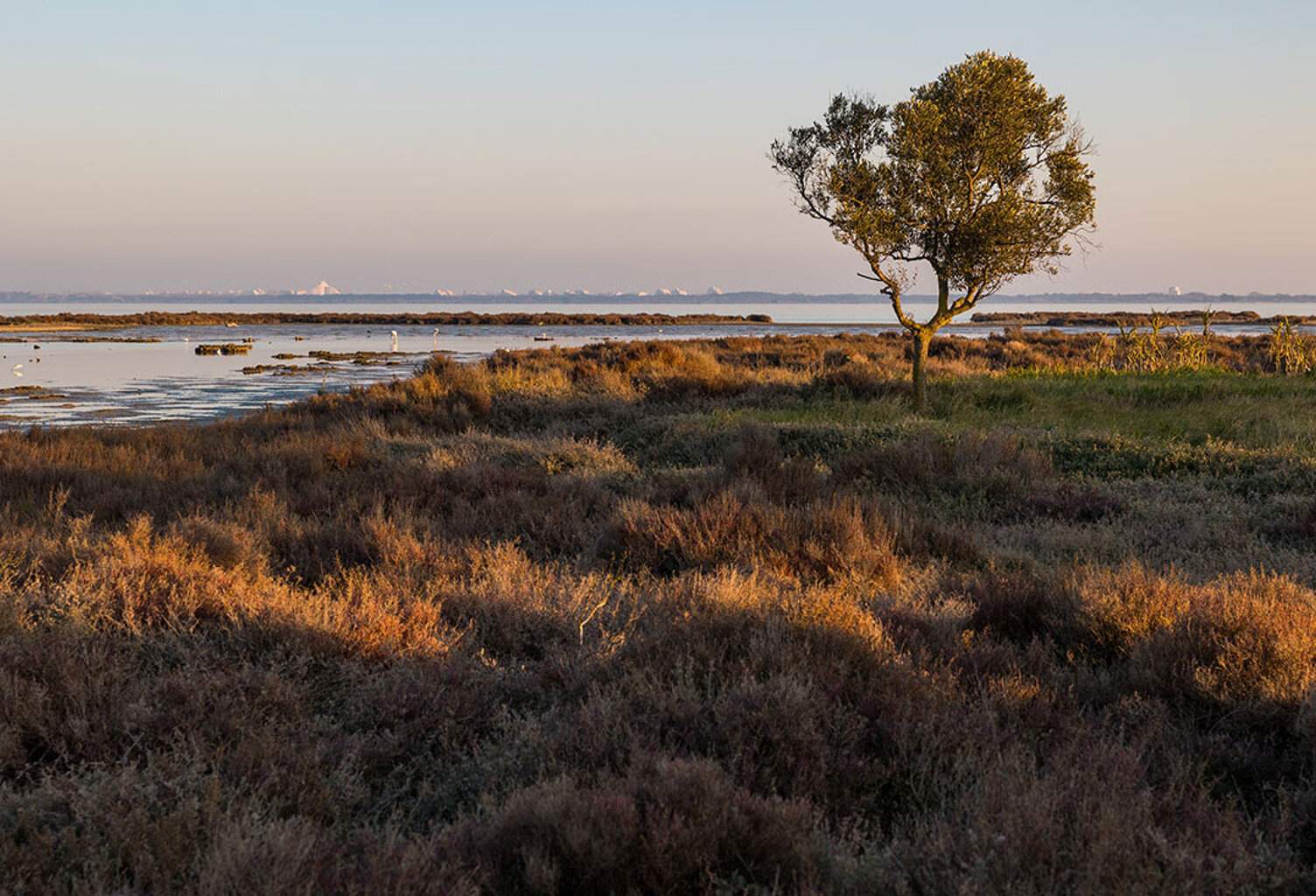 Terrain - 500 — photo 1