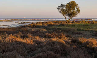 Local industriel  500 m² à vendre à Pérols (34470)