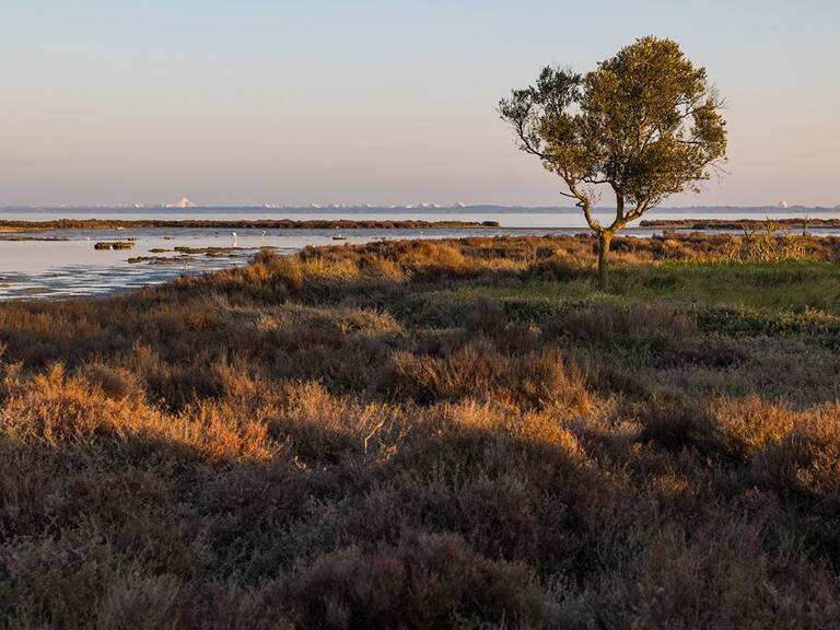 Terrain - 500 — photo 1