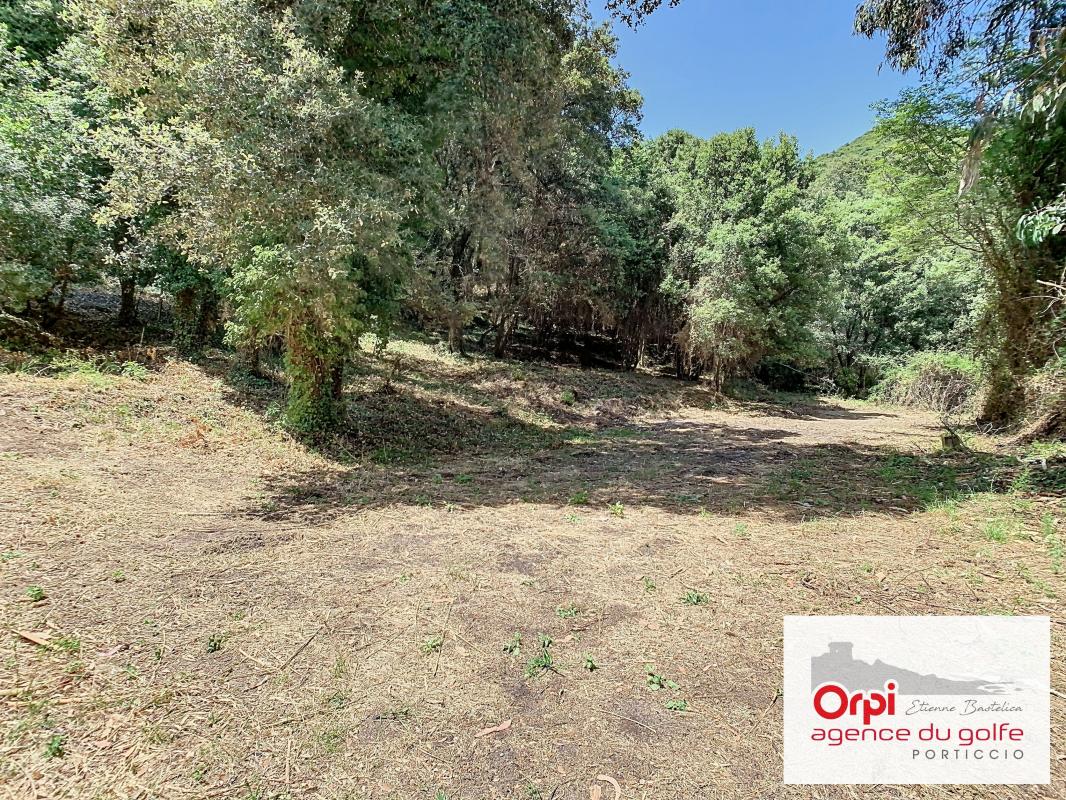 Terrain  à vendre Ocana 20117