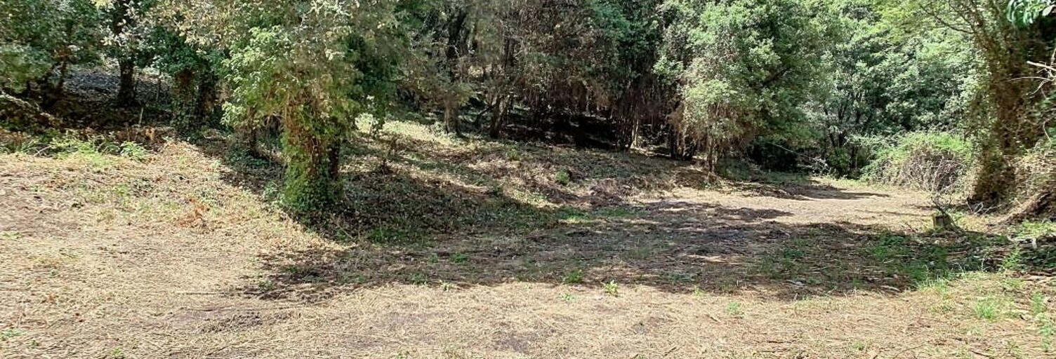 Terrain  2314 m² à vendre à Ocana (20117)