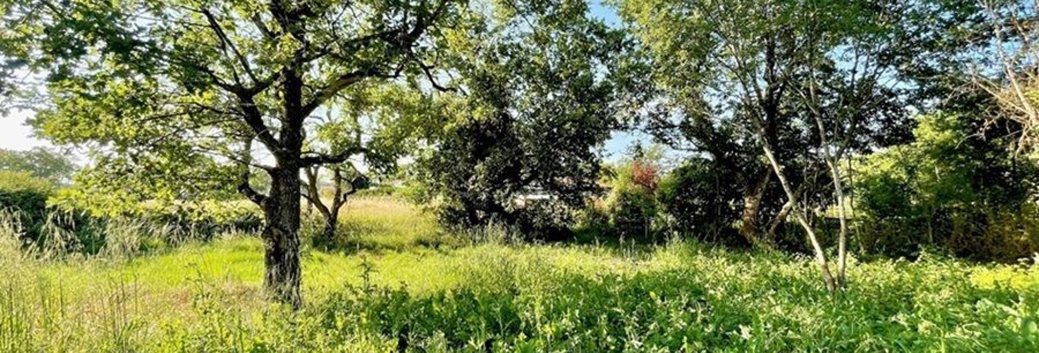 Terrain  720 m² à vendre à Plaisance-du-Touch (31830)