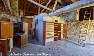 Photo N° 6