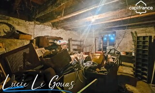 Photo N° 3