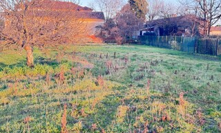 Photo N° 3