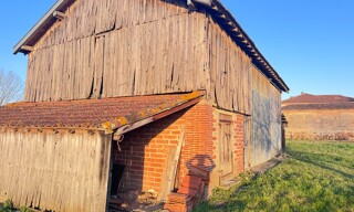 Photo N° 4