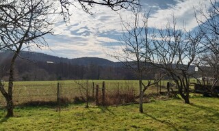 Photo N° 4