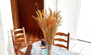 Photo N° 6