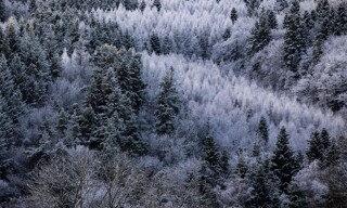Photo N° 14