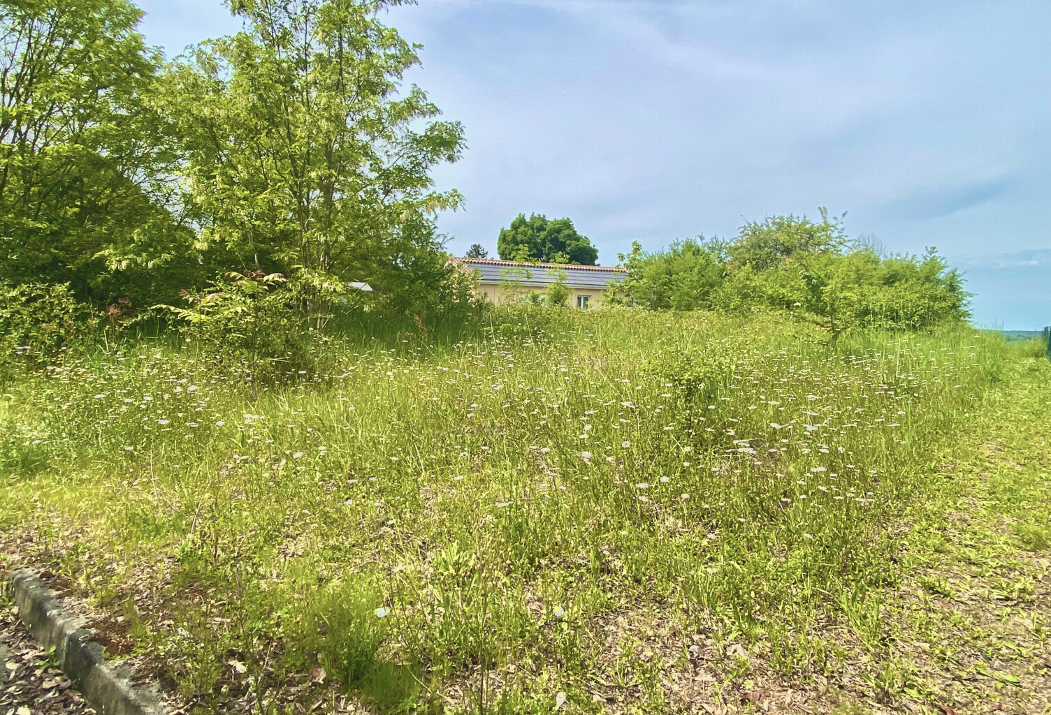 Terrain à bâtir (Escassefort) - 602m2 — photo 1