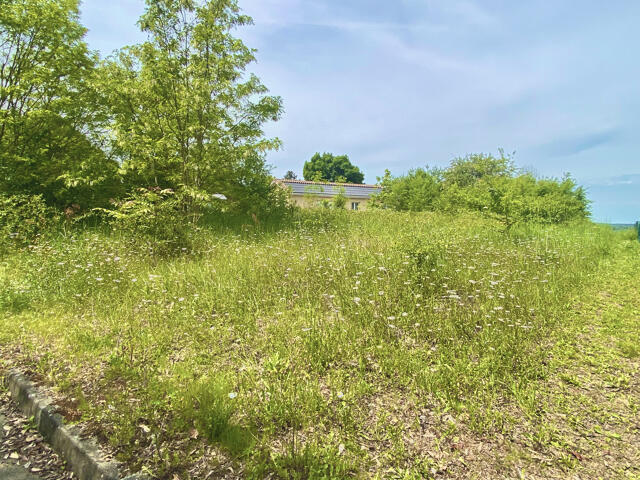 Terrain proposé à Escassefort